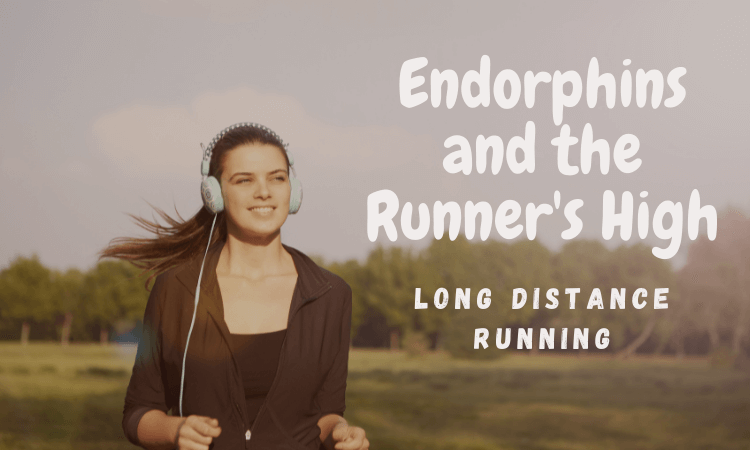 Endorphins and the Runner's High How Endorphins Work The Painkilling Effect of endorphins Long-Term Benefits of Endorphins