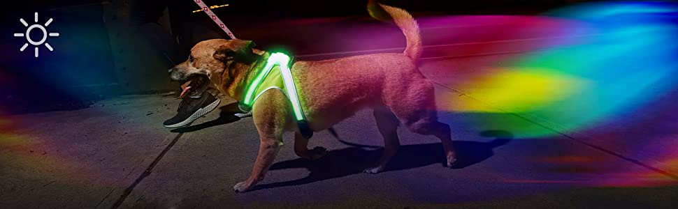 Best Dog Running Harness Lights